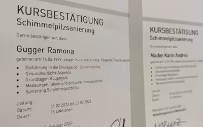 Schimmel